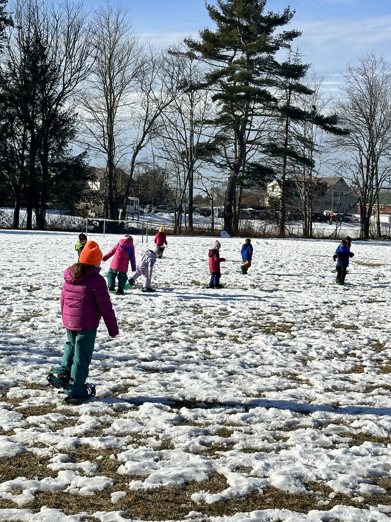 Kindergarten snowshoeing!