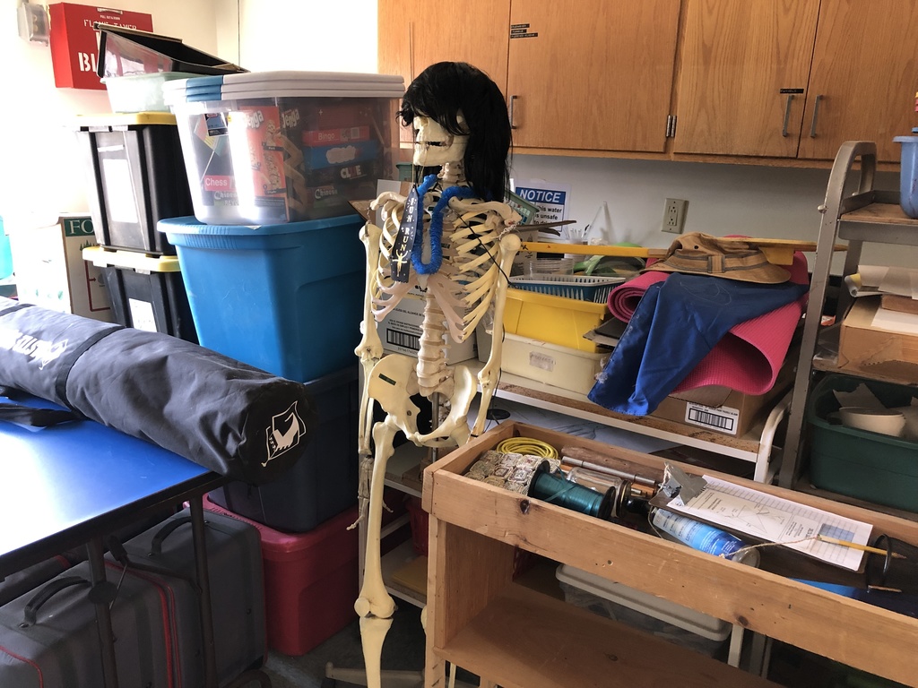 Mr Bones