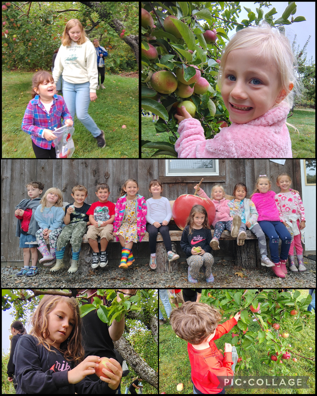 apple picking