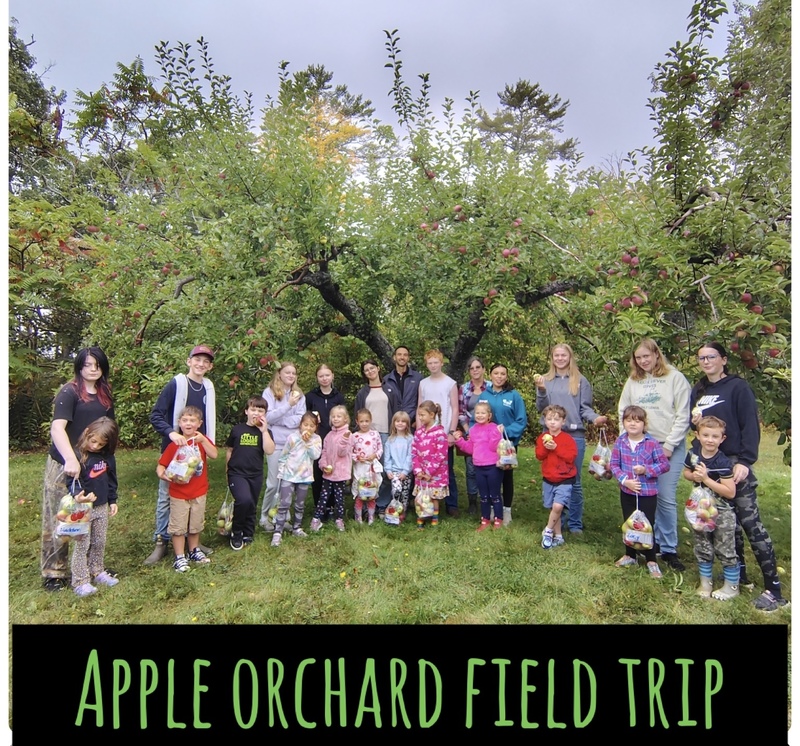 apple picking 2