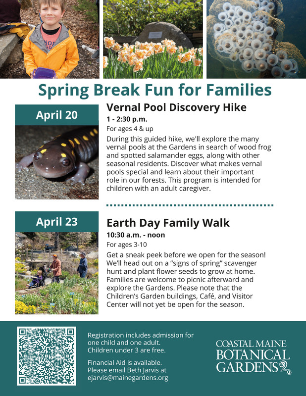 spring break camp