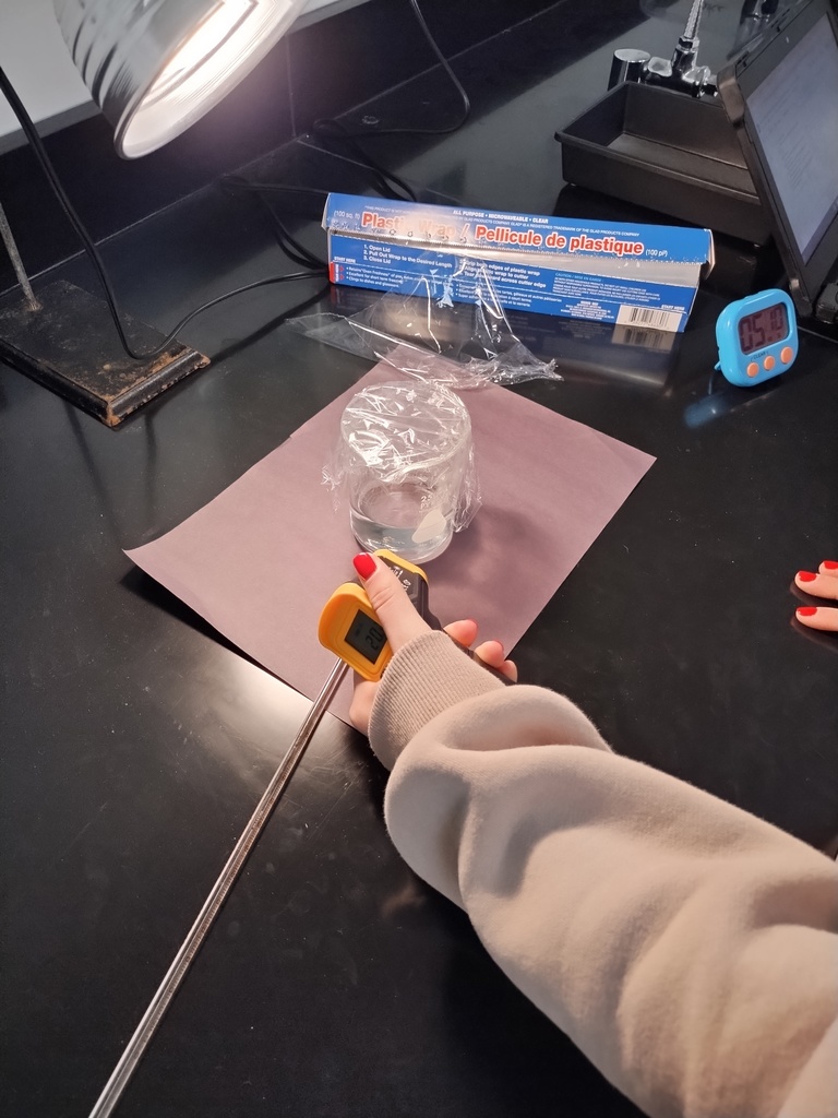 Science experiment