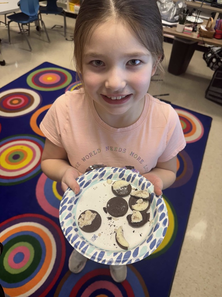 Moon phase activity