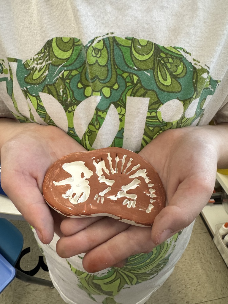Geology Activity