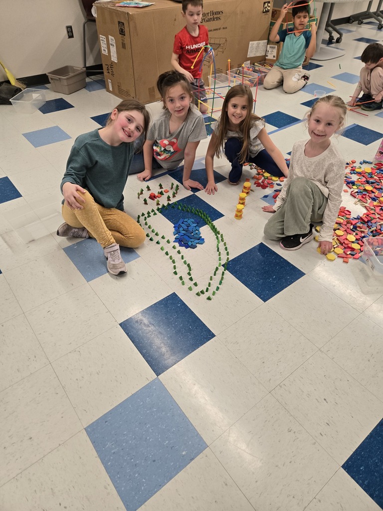 First Grade STEAM