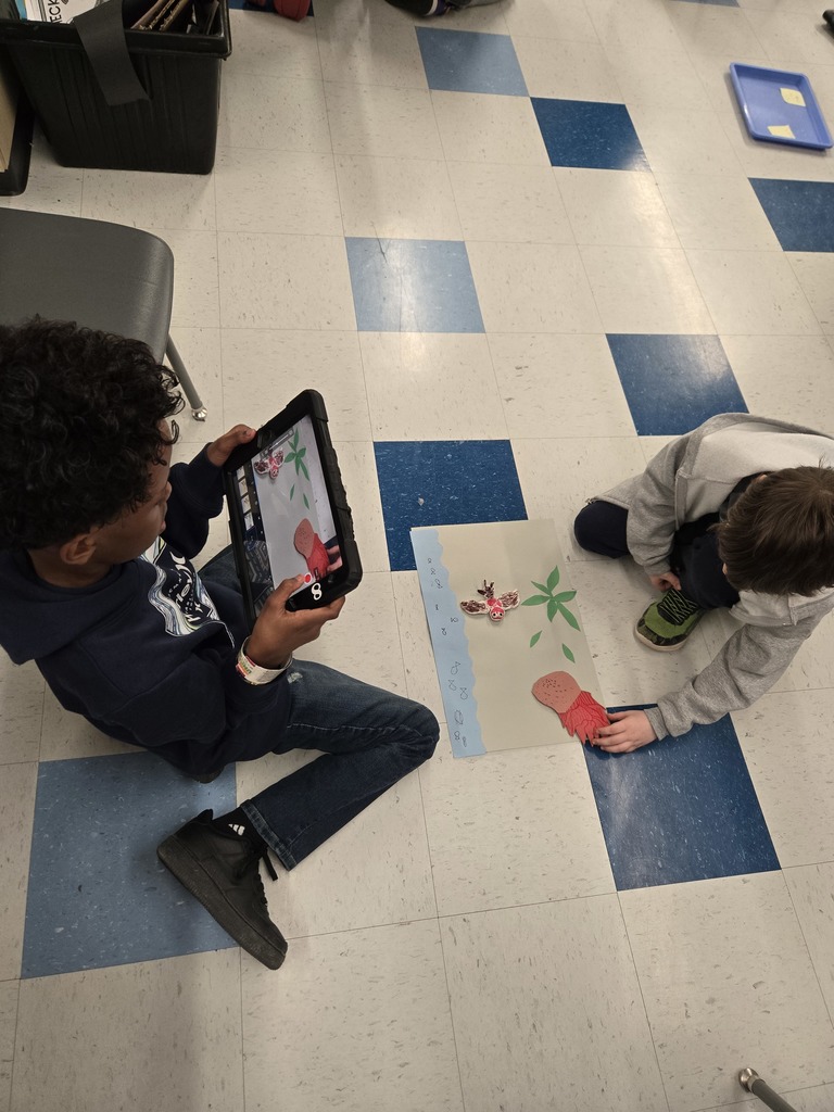 Fourth Grade STEAM