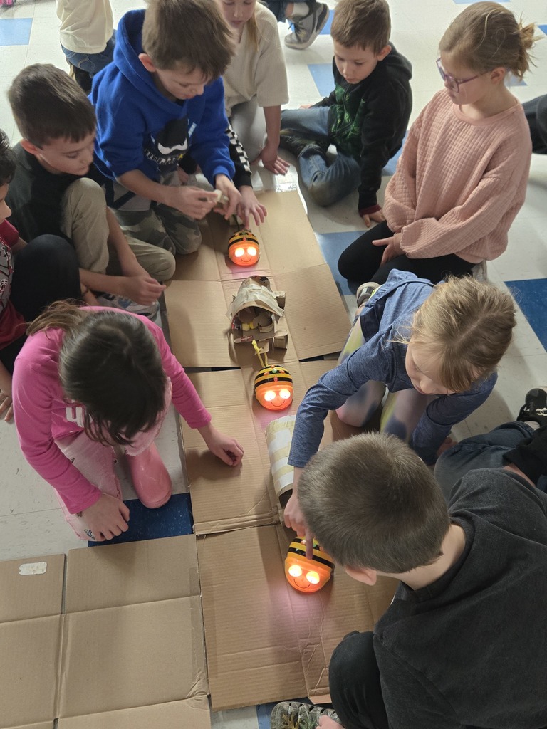 Second Grade STEAM