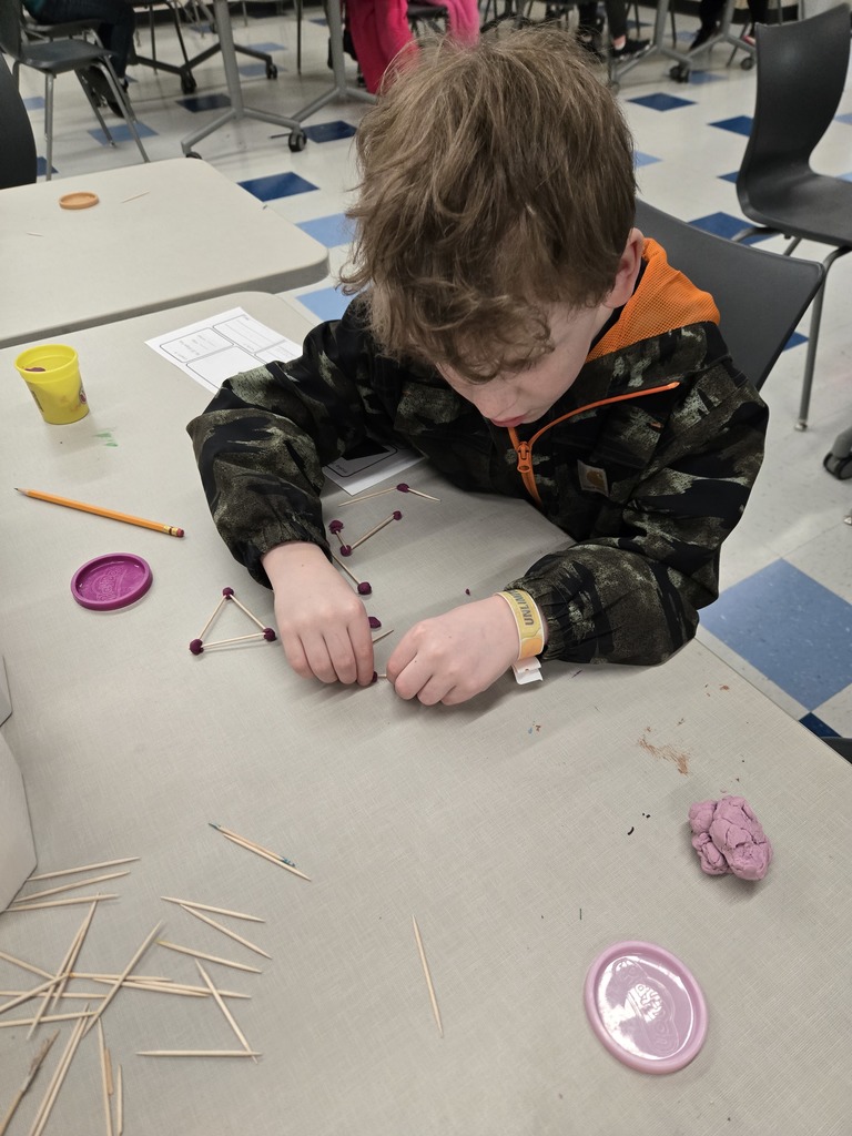 Second Grade STEAM