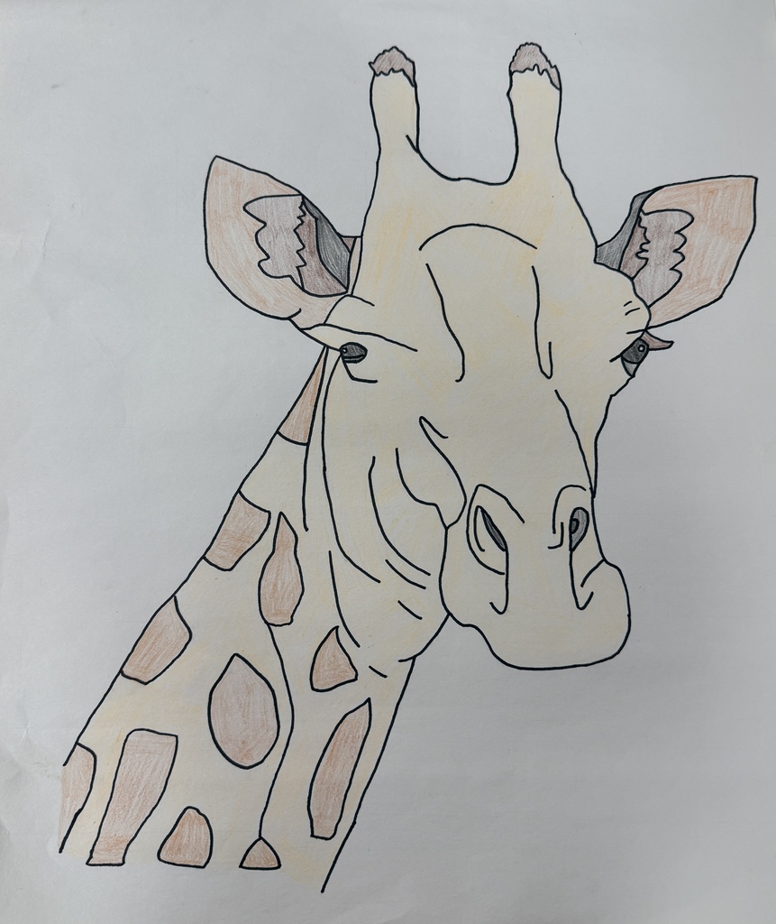 8th grade artists of the week, grid artwork