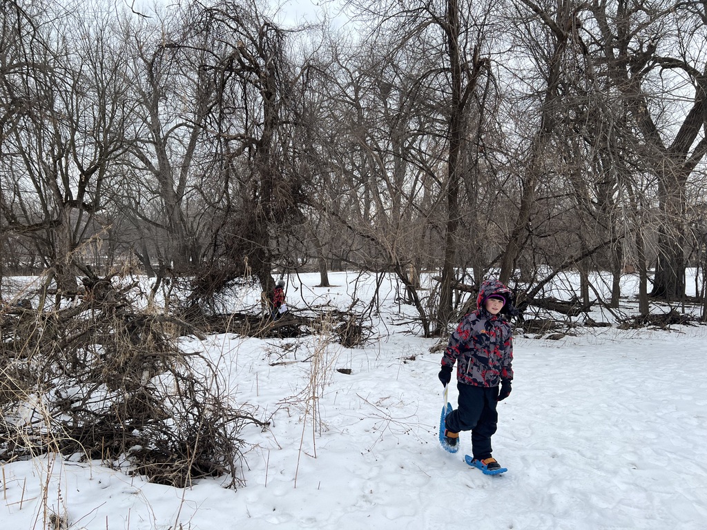 students snowshoeing through the woods