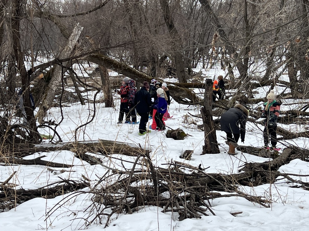 students observing trees in the woods