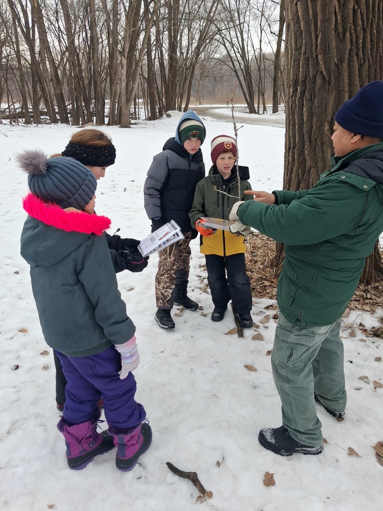 students learning about trees in the woods