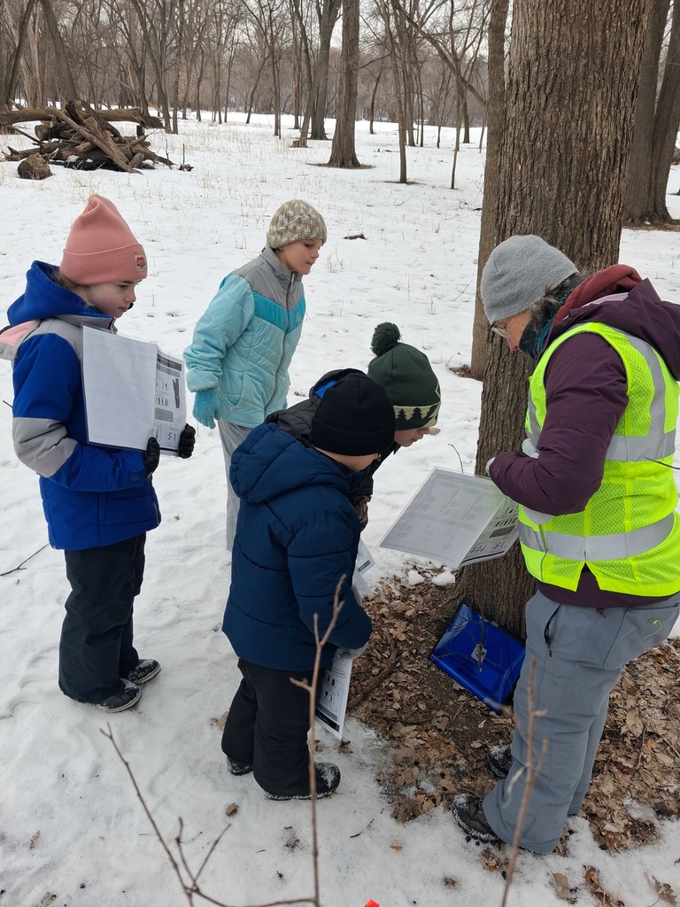 students learning about trees in the woods
