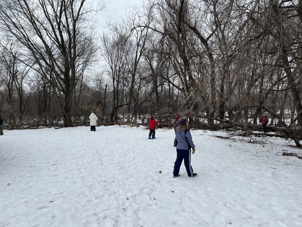 students observing trees in the woods