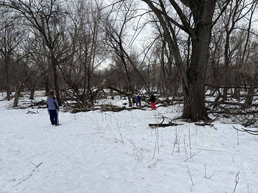 students learning about trees in the woods