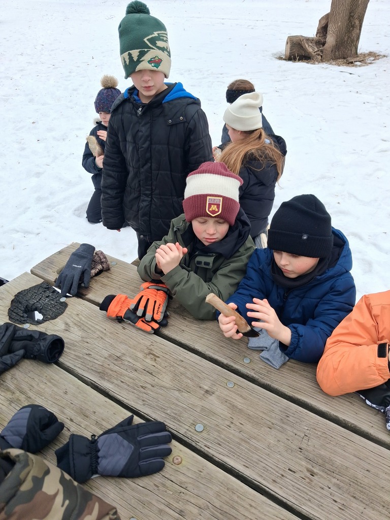 students learning about animals