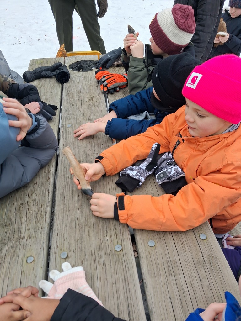 students learning about animals