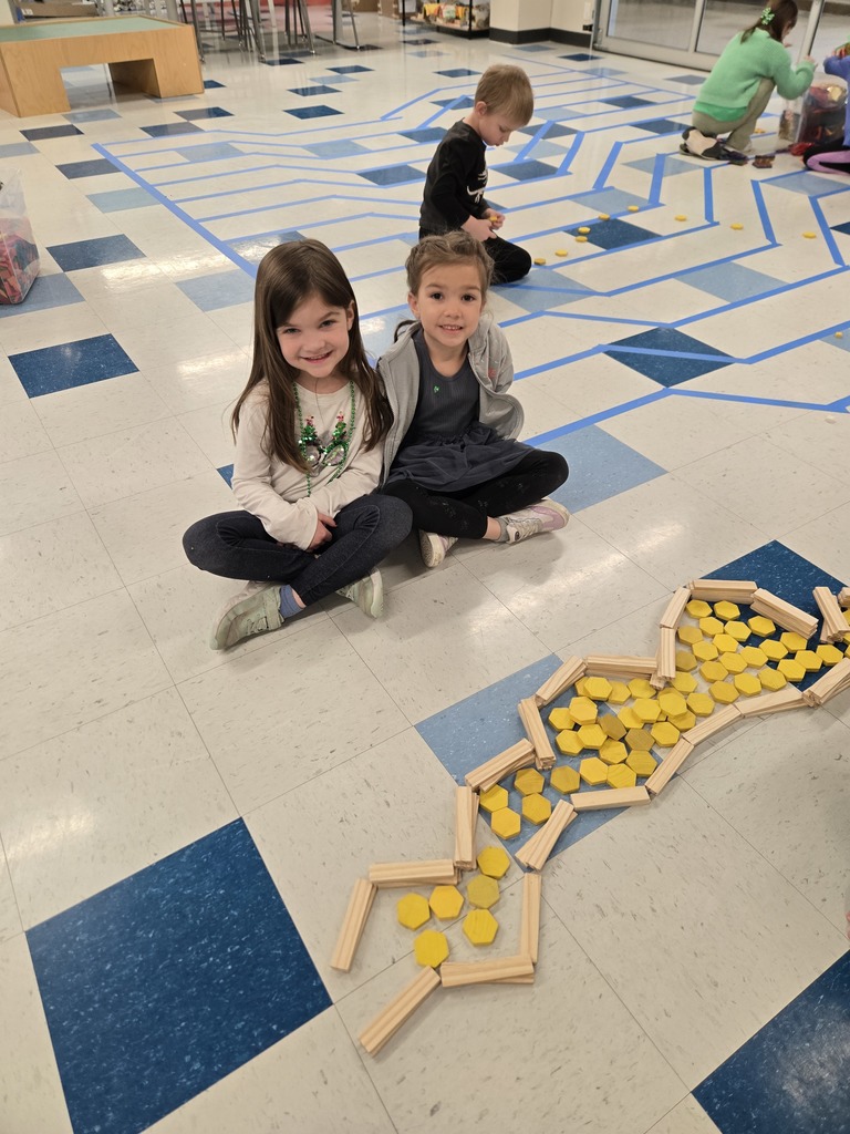 Students with building tosy