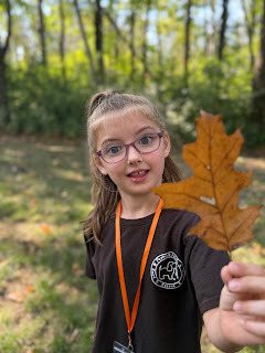 kindergartener on a leaf hunt