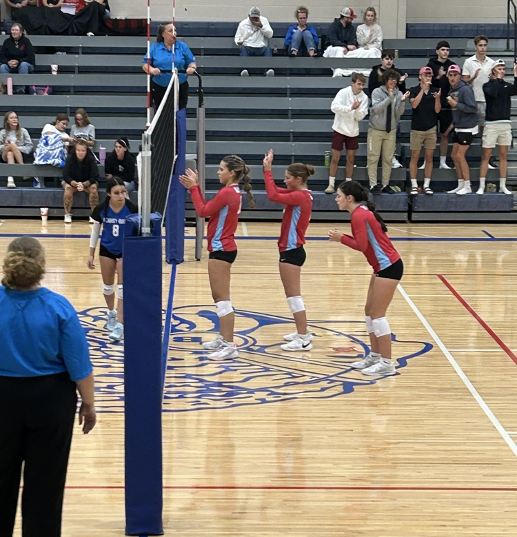 vb