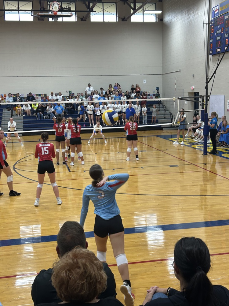 vb