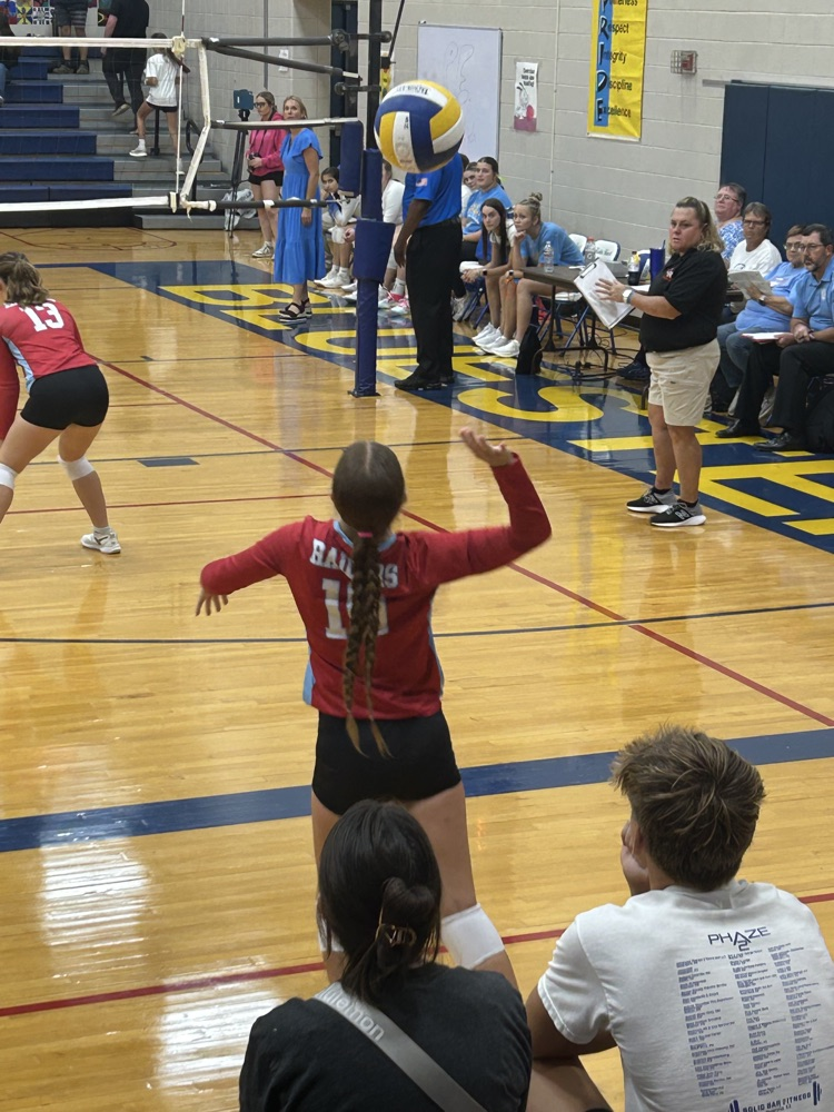 vb
