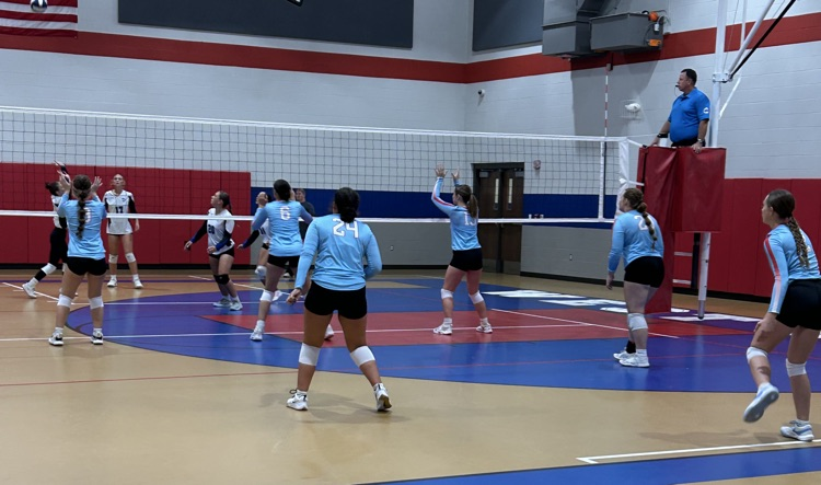 vb