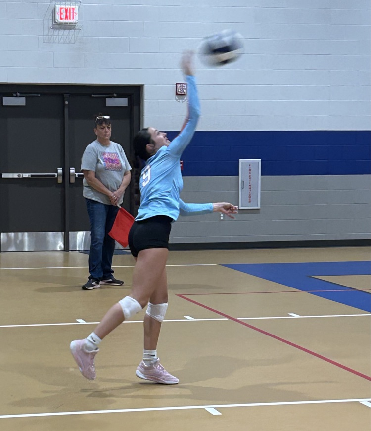vb