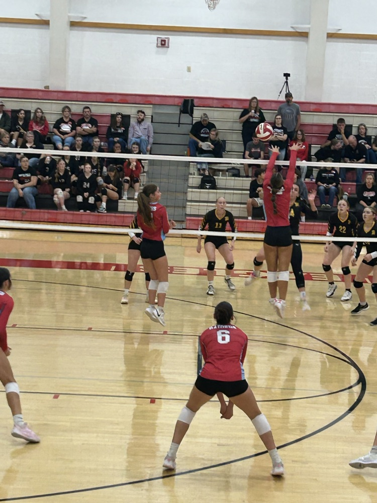 vb