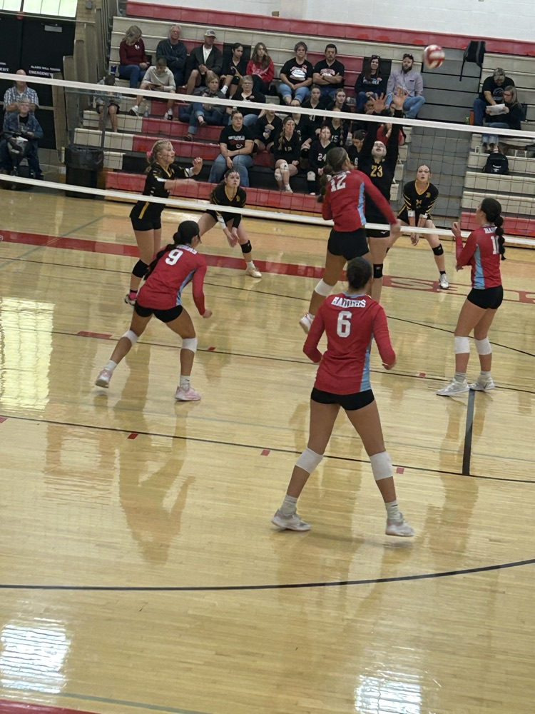 vb