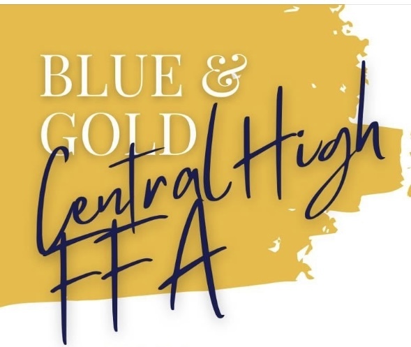 FFA Blue and Gold