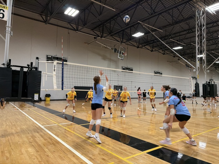 vb