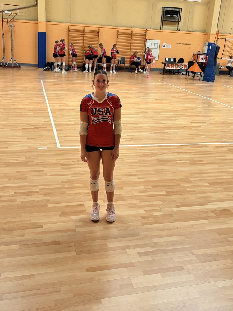 vb