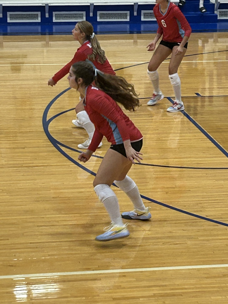 vb