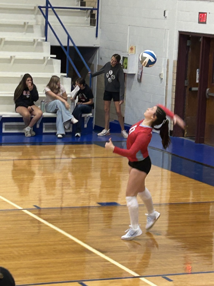 vb