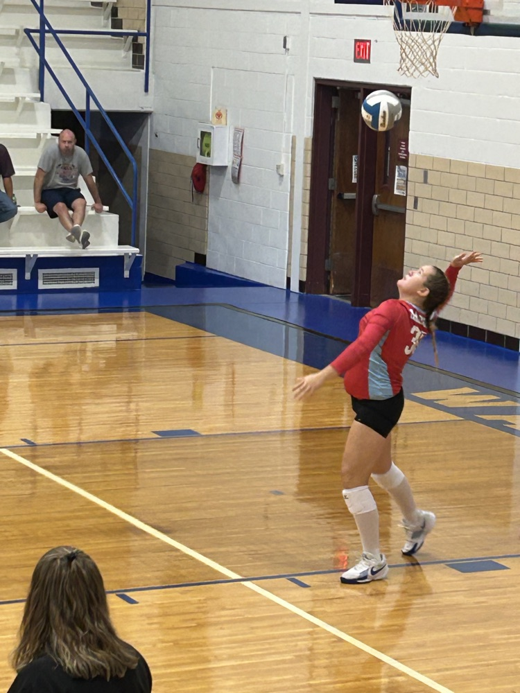vb