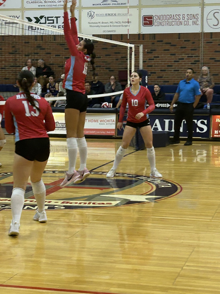 vb