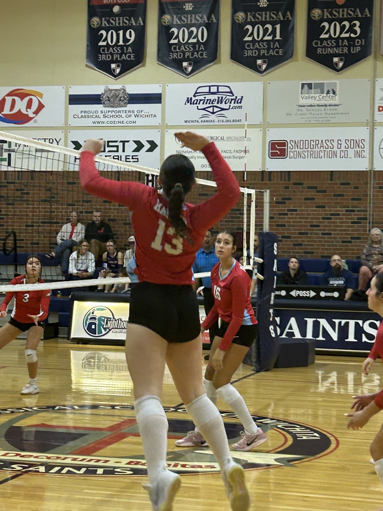 vb