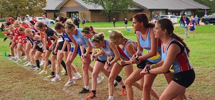 xc
