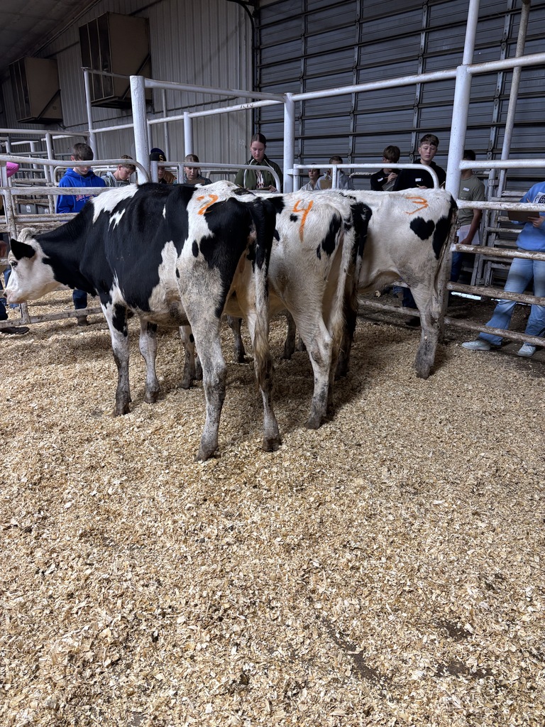 Yearlings