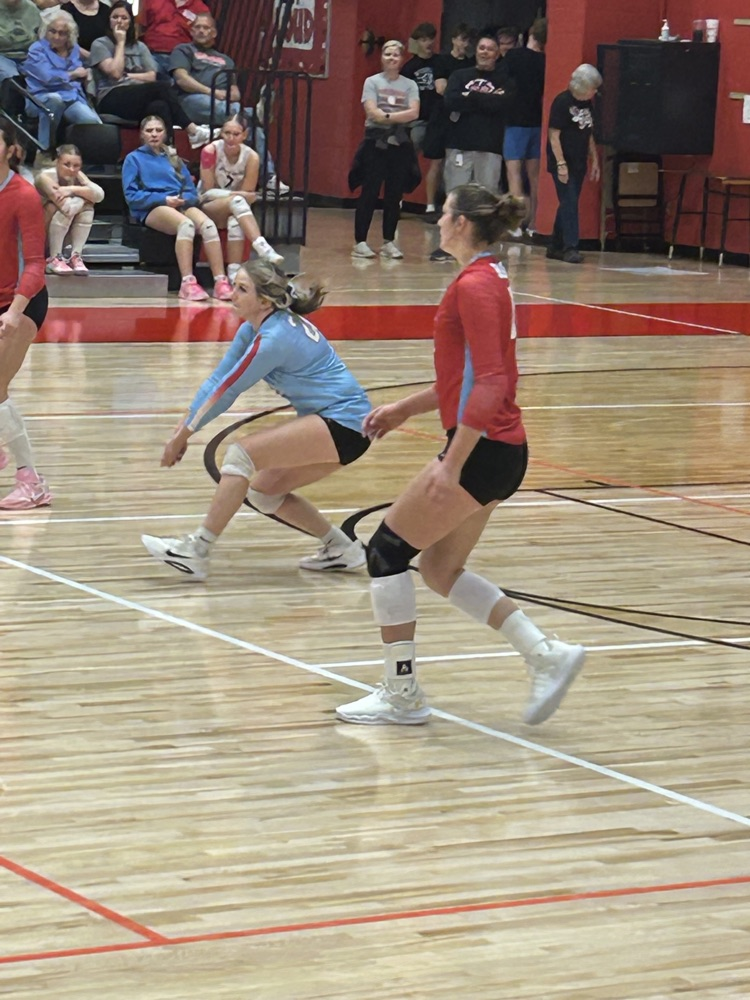 vb