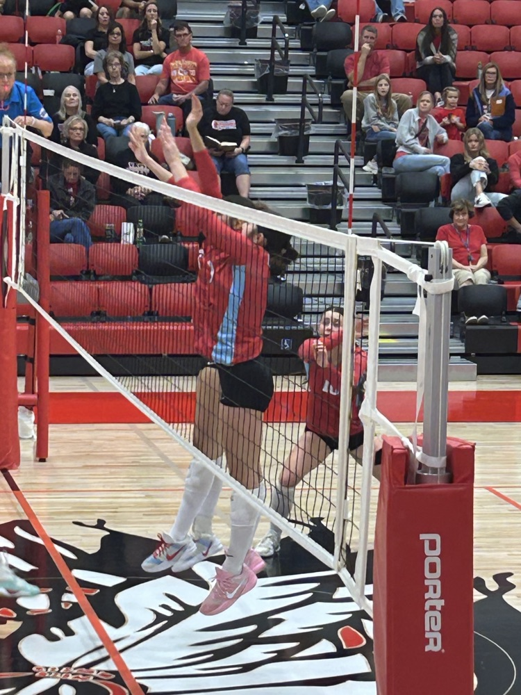 vb