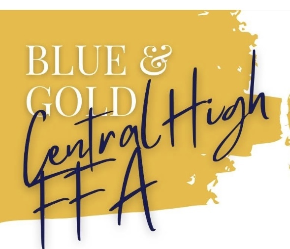 Blue and Gold