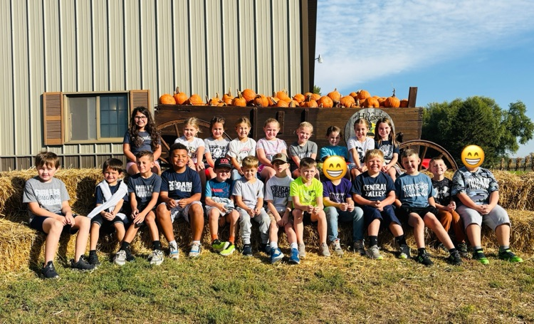 Pumpkin Patch