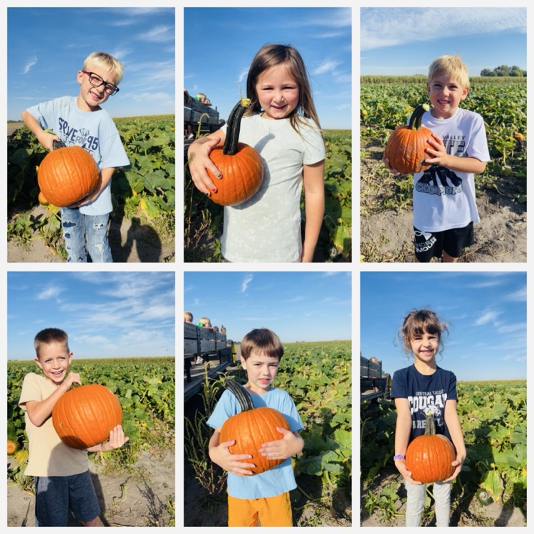 Pumpkin Patch