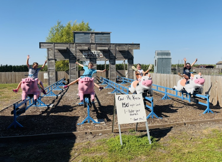 Pumpkin Patch