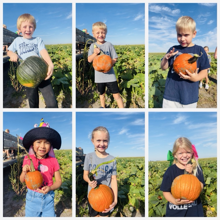 Pumpkin Patch