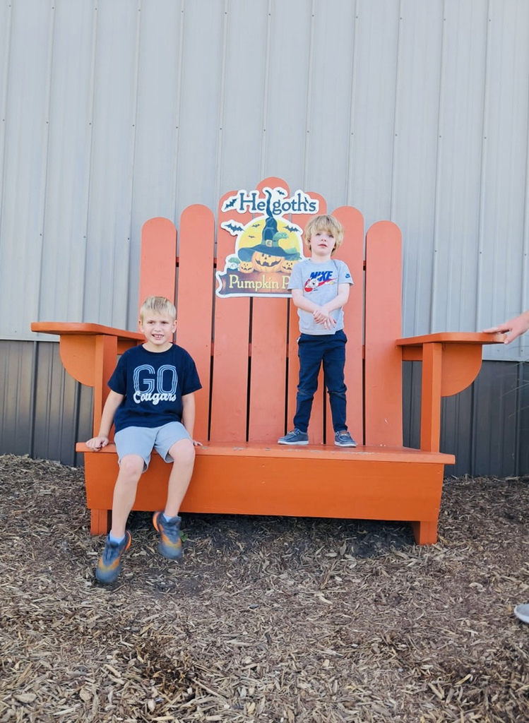 Pumpkin Patch