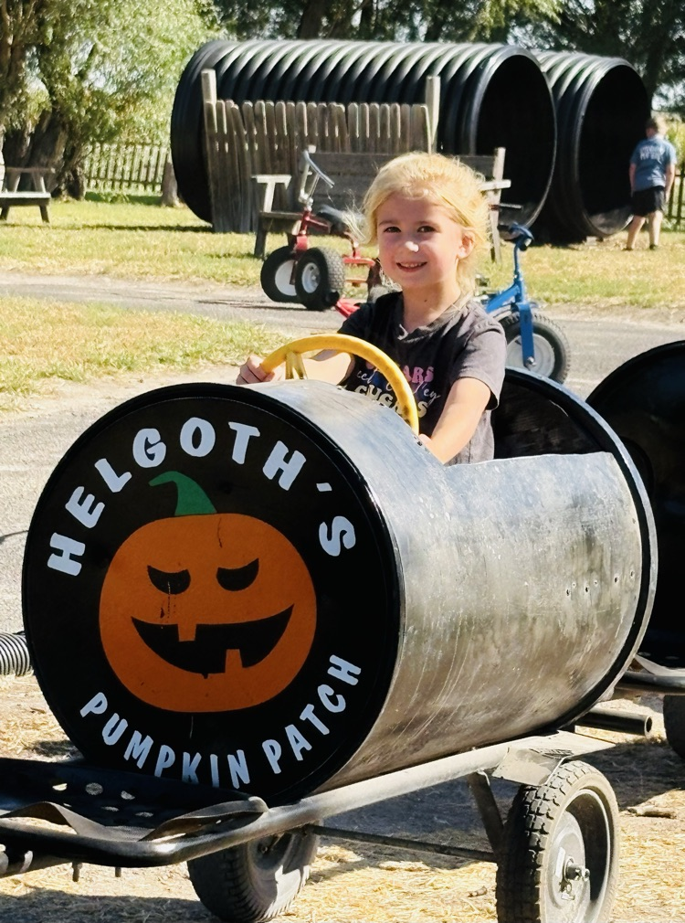 Pumpkin Patch