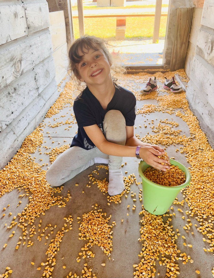 Pumpkin Patch